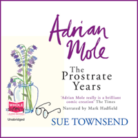 Sue Townsend - Adrian Mole: The Prostrate Years (Unabridged) artwork