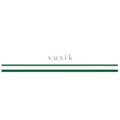 vusik - EP artwork