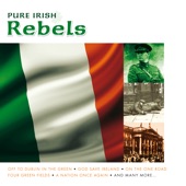 Pure Irish Rebels artwork