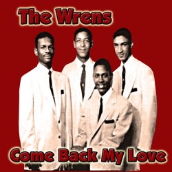 The Wrens - Come Back My Love