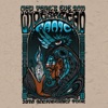 Live Widespread Panic: 12/31/2011 Charlotte, NC