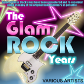 The Glam Rock Years - Vários intérpretes