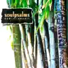 Soulpsalms album lyrics, reviews, download