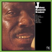 Johnny Hammond - Never Can Say Goodbye (Album Version)