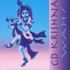 CD Krishna, 1999