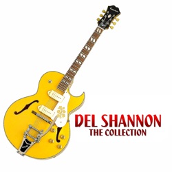 Del Shannon - Stranger In Town
