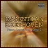 Capella Istropolitano - Piano Concerto No. 1: II. Largo