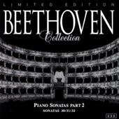 Sonata (N. 31) In la Bemolle Maggiore Op. 110 (1821): Allegro Molto (Beethoven) artwork