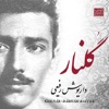 Dariush Rafiee - Golnar-Dashti