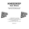 Mysterious (feat. Shena) - EP