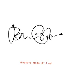 Whaddya Mean By That - Single - John Cale Whaddya Mean By That - Single - John Cale