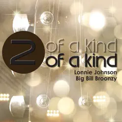 Two of a Kind - Lonnie Johnson & Big Bill Broonzy - Big Bill Broonzy