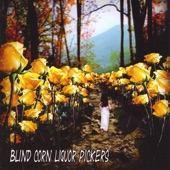 Blind Corn Liquor Pickers - Appalachian Trail