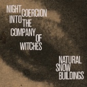 Night Coercion into the Company of Witches artwork