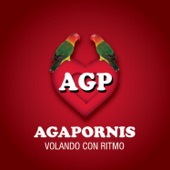 Agapornis - Volando Con Ritmo artwork