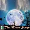 The Moon Songs, 2013