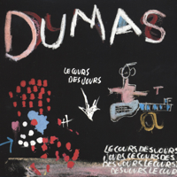 Dumas - Le cours des jours artwork