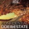 Confidential - DDei&Estate lyrics