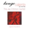 The Jay D'Amico Quintet - Maura's Chant