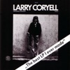 Larry Coryell - Sweet Shuffle
