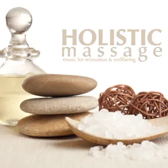 Holistic Massage by David Moore album reviews, ratings, credits