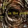 In the Park - Single album lyrics, reviews, download