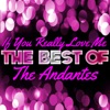 If You Really Love Me - The Best of the Andantes