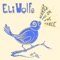 Cards Are On the Table - Eli Wolfe lyrics