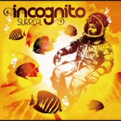 Incognito - The Stars From Here