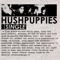 I'm Not Like Everybody Else - Hushpuppies lyrics