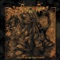 Blood Temple - Svartsyn lyrics