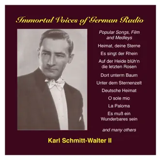 Karl Schmitt-Walter, Vol. 2: Popular Songs and Film by Berlin Deutsche Opera Orchestra, Hans Schmidt-Isserstedt, Karl Schmitt-Walter, Anonymous, Norbert Schultze, Hansgeorg Otto, Graunke Symphony Orchestra, Kurt Graunke, Walter Lutze, Adalbert Lutter & Adalbert Lutter and His Orchestra album reviews, ratings, credits