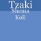 Aleinu (Shalsheles Junior 2) - Tzaki lyrics