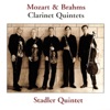 Stadler Quintet - Quintet in B Major for Clarinet and Strings, Opus 115 - Allegro