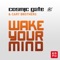 Wake Your Mind (Tritonal Remix) - Cosmic Gate & Cary Brothers lyrics