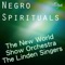 Little David (feat. Martin Lawrence) - The New World Show Orchestra & The Linden Singers lyrics