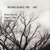 Richard Bliwas Trio - The Unseen