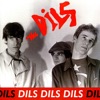 Dils Dils Dils