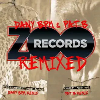 Remixed - Single by Dany Bpm & Pat B album reviews, ratings, credits