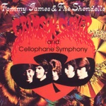 Crimson and Clover by Tommy James & The Shondells