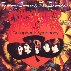 Tommy James & The Shondells - Crystal Blue Persuasion - 排舞 音乐