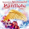 Besinnliche Weihnacht mit der Panflöte, 2012