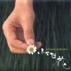 小さな花 ジャケット写真