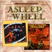 Asleep At The Wheel - I'm The Fool (Who Told You To Go)