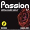 Passion - Benjamin Milic lyrics