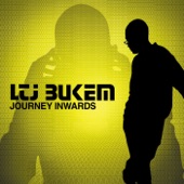 LTJ Bukem - Unconditional Love