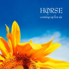 Coming Up for Air by Horse album reviews, ratings, credits