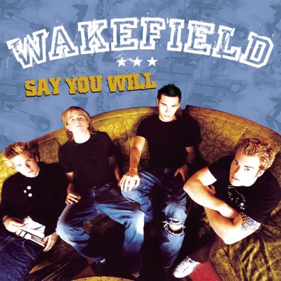 Cover artwork for Say You Will