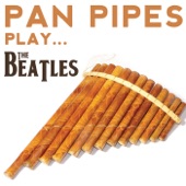 Pan Pipes Play the Beatles artwork