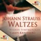 Wiener Symphoniker Yakov Kreizberg - Künstlerleben op.316